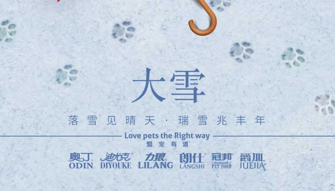 大雪丨雪落知寒意 久伴見初心！