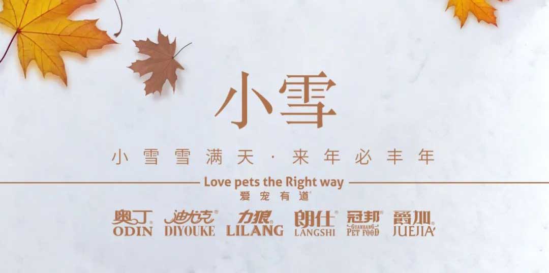 小雪丨天地初寒，歲月安暖